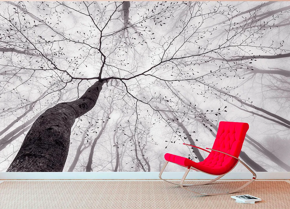 A View Of The Tree Crown Wall Mural Wallpaper