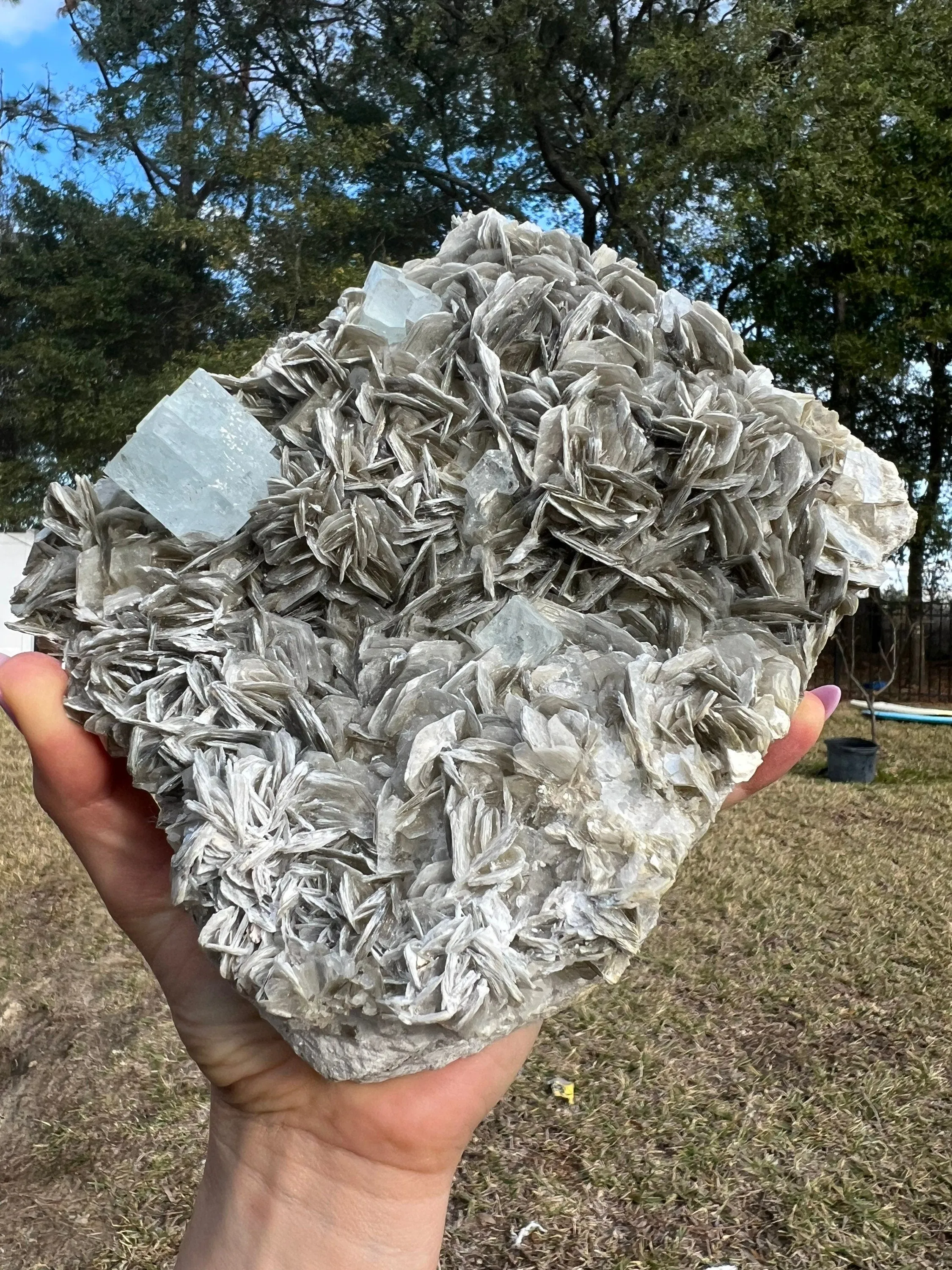 Aquamarine on muscovite matrix cluster 5 pounds
