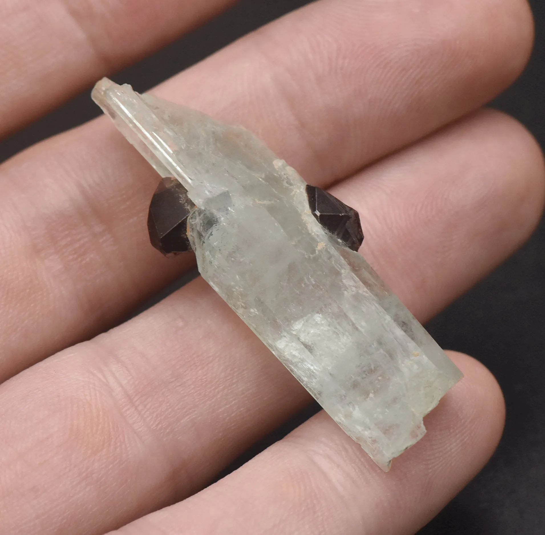 Aquamarine with Garnets Crystal MIneral Specimen - Pakistan