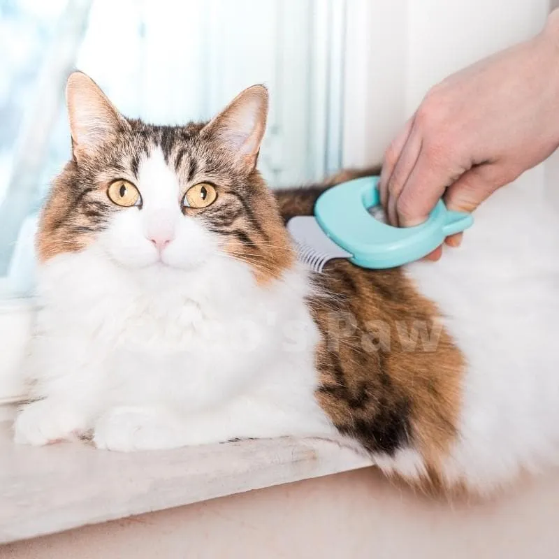 Cat Hair Removal Massaging Shell Comb - Mint