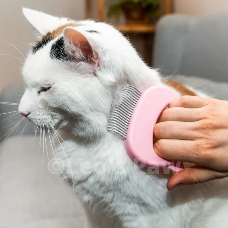 Cat Hair Removal Massaging Shell Comb - Mint