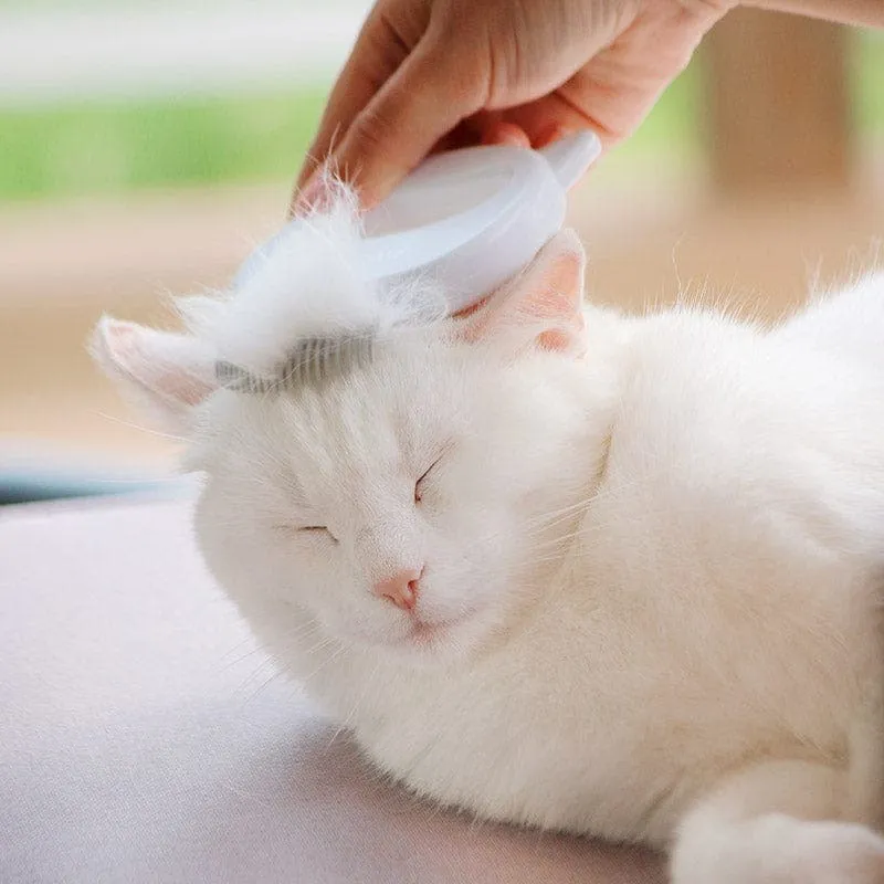 Cat Hair Removal Massaging Shell Comb - Mint