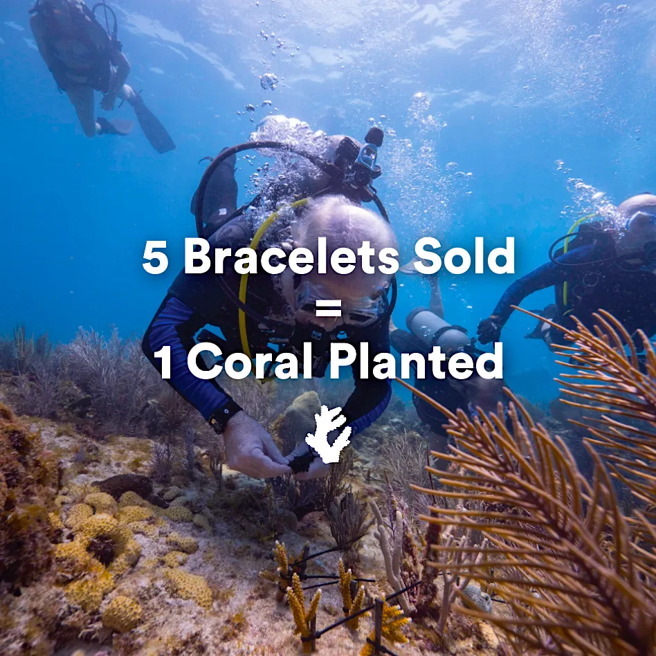 Coral Legend Bracelet