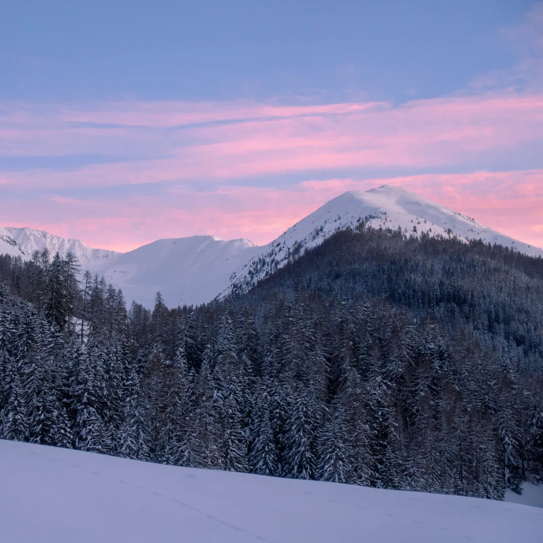 Davos 6mm