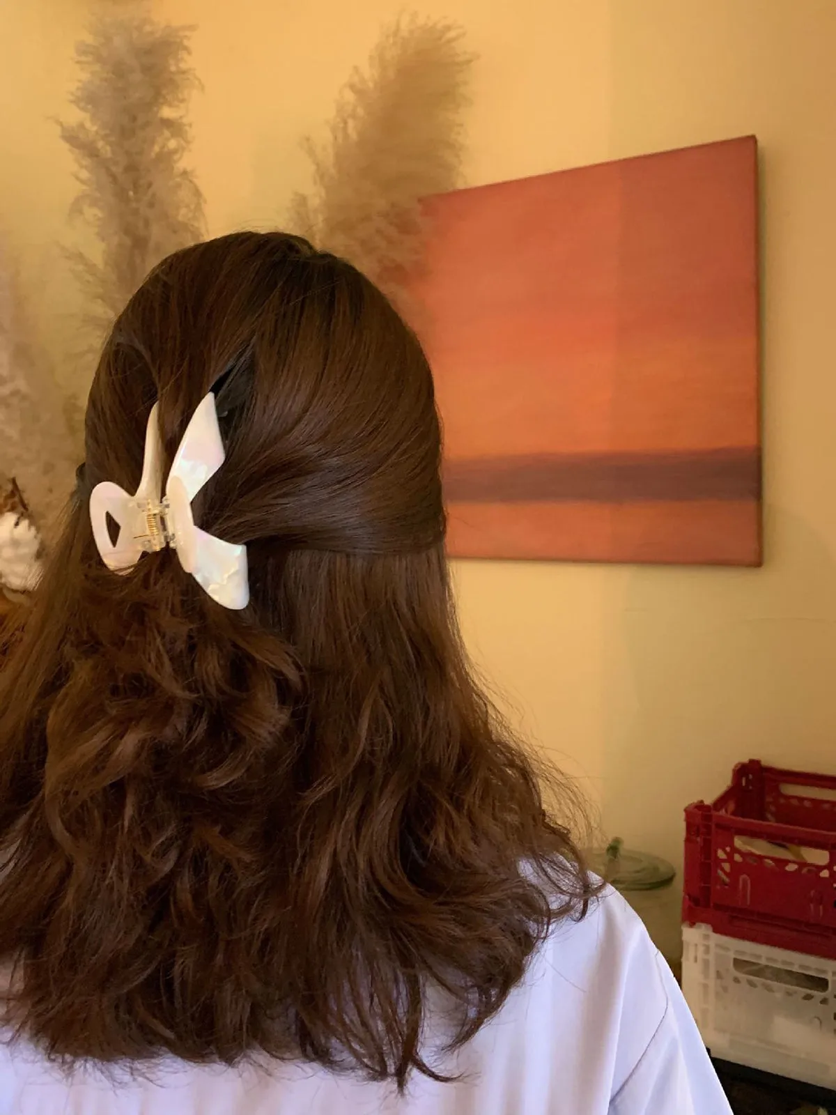 Elegant Acetic Acid Grab Hair Clip