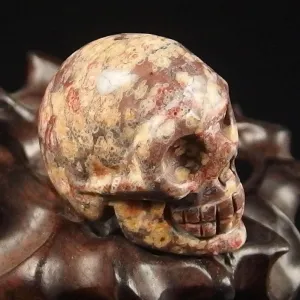 Leopard Skin Jasper Crystal Skull