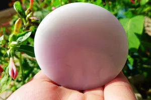 Natural Jade Rough Jadeite Raw (120g,5.3X1.55cm)