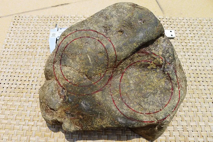 Natural Jade Rough Jadeite Raw (4.9kg,20X15.5X9cm)