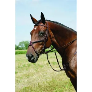 Vespucci Single Crown Square Raised Figure 8 Bridle