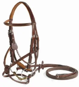 Vespucci Single Crown Square Raised Figure 8 Bridle